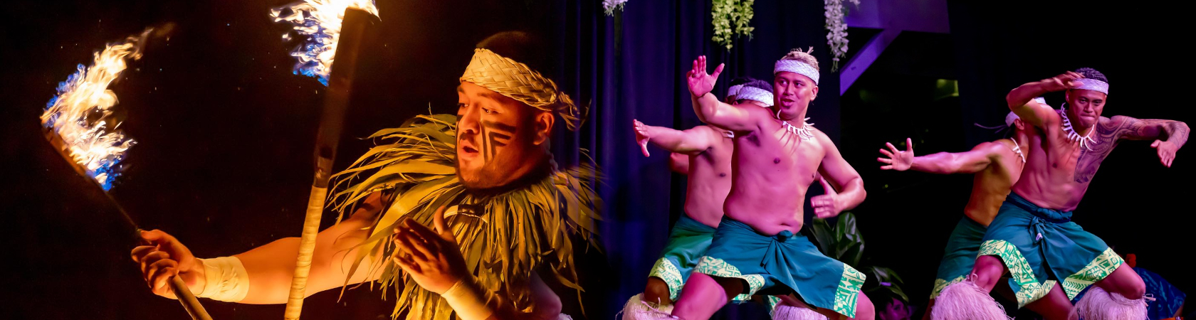 Toa Luau Evening Show 